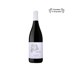 Pinot noir 2022 VZH - Sv. Barbora
